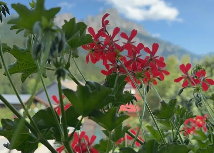 ゲストハウス Gaestehaus Tauscher Am 3*